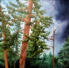 artbymimi/impending_storm.jpg